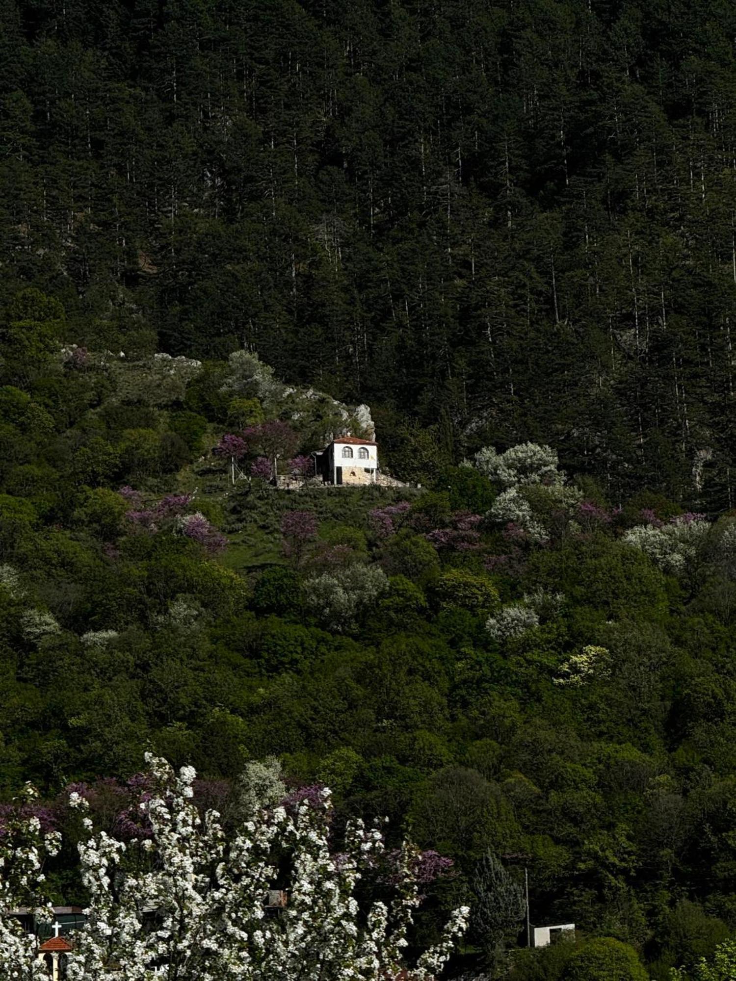 Mountain Serenity * Konitsa