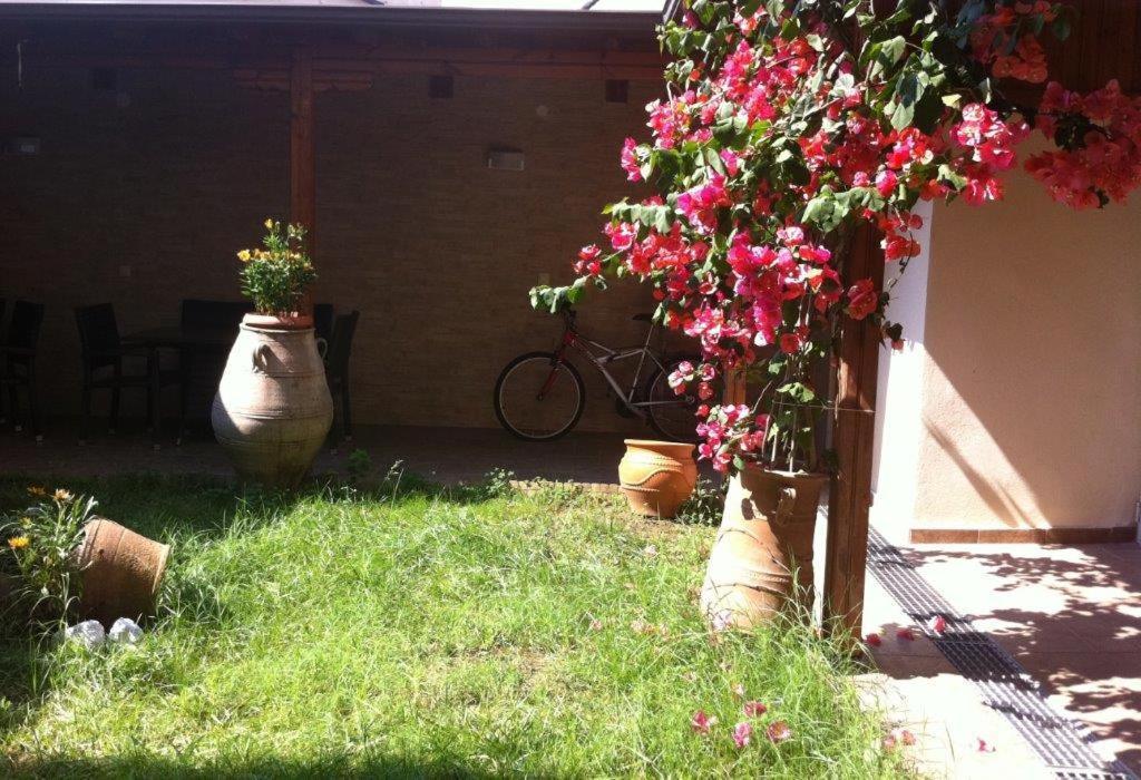 Niovi Apartment Neoi Poroi