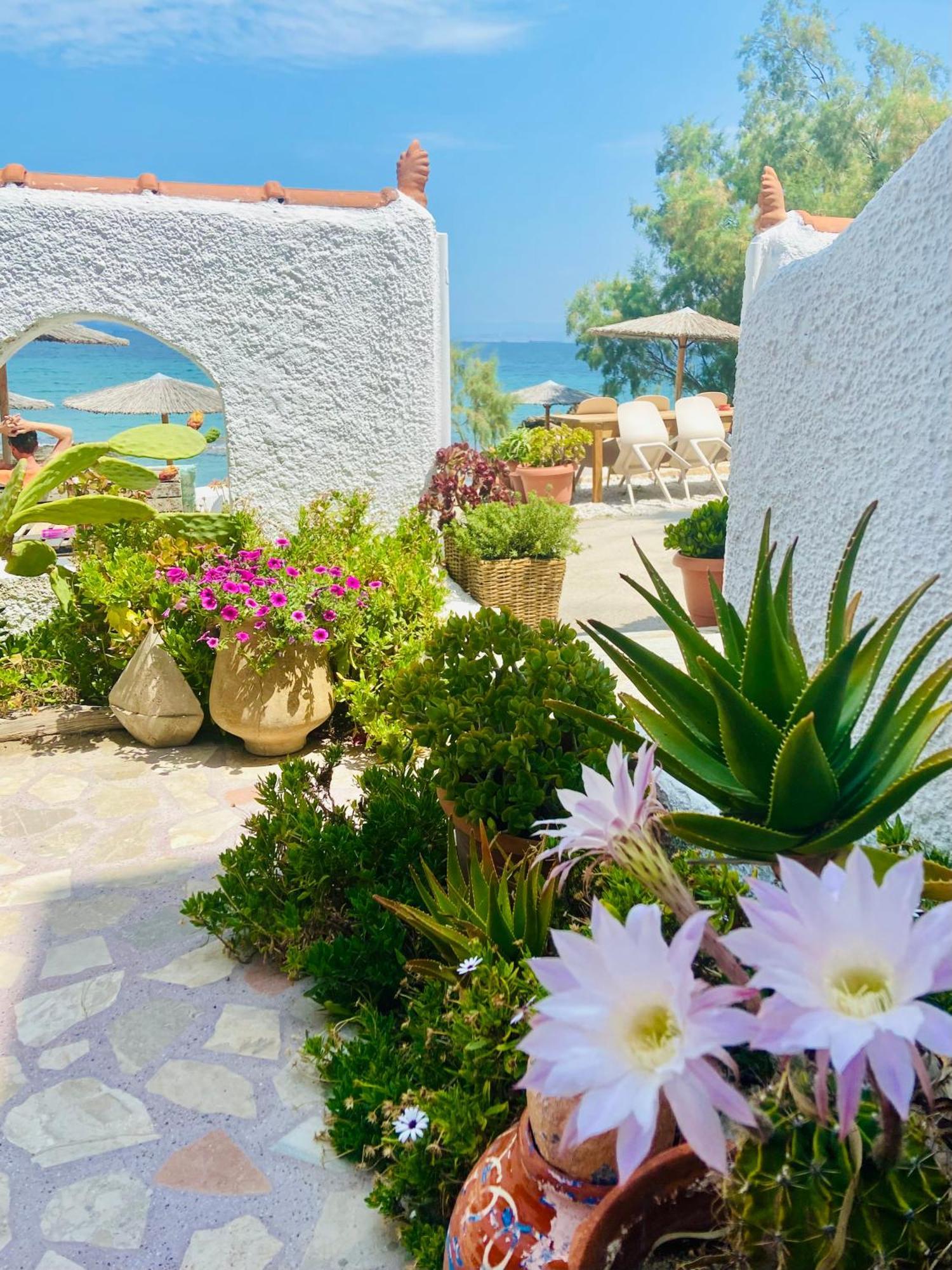 Apartment The Beachhouse Vagia (Aegina)