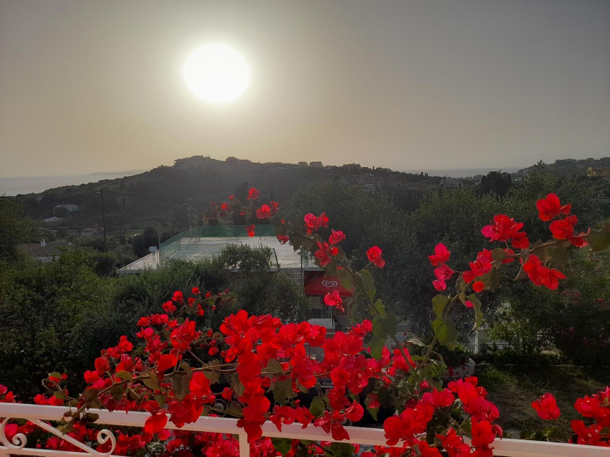 Angelos Apartment's * Arillas (Corfu)