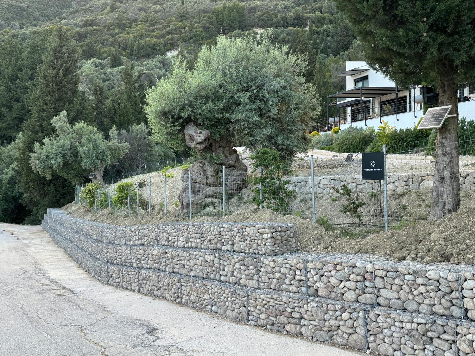 Vasiliki Houses * Vasiliki (Lefkada)