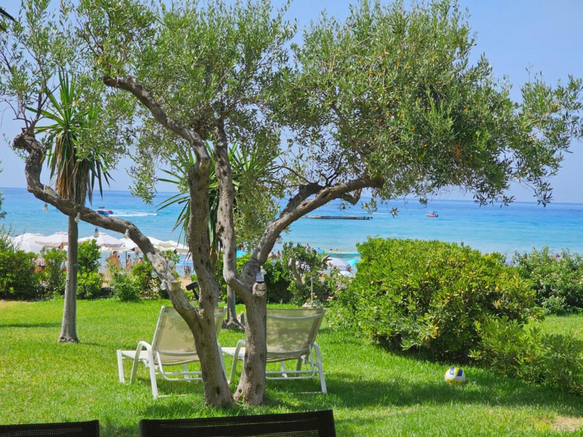 Apartment Corfu Dream Holidays Pelekas