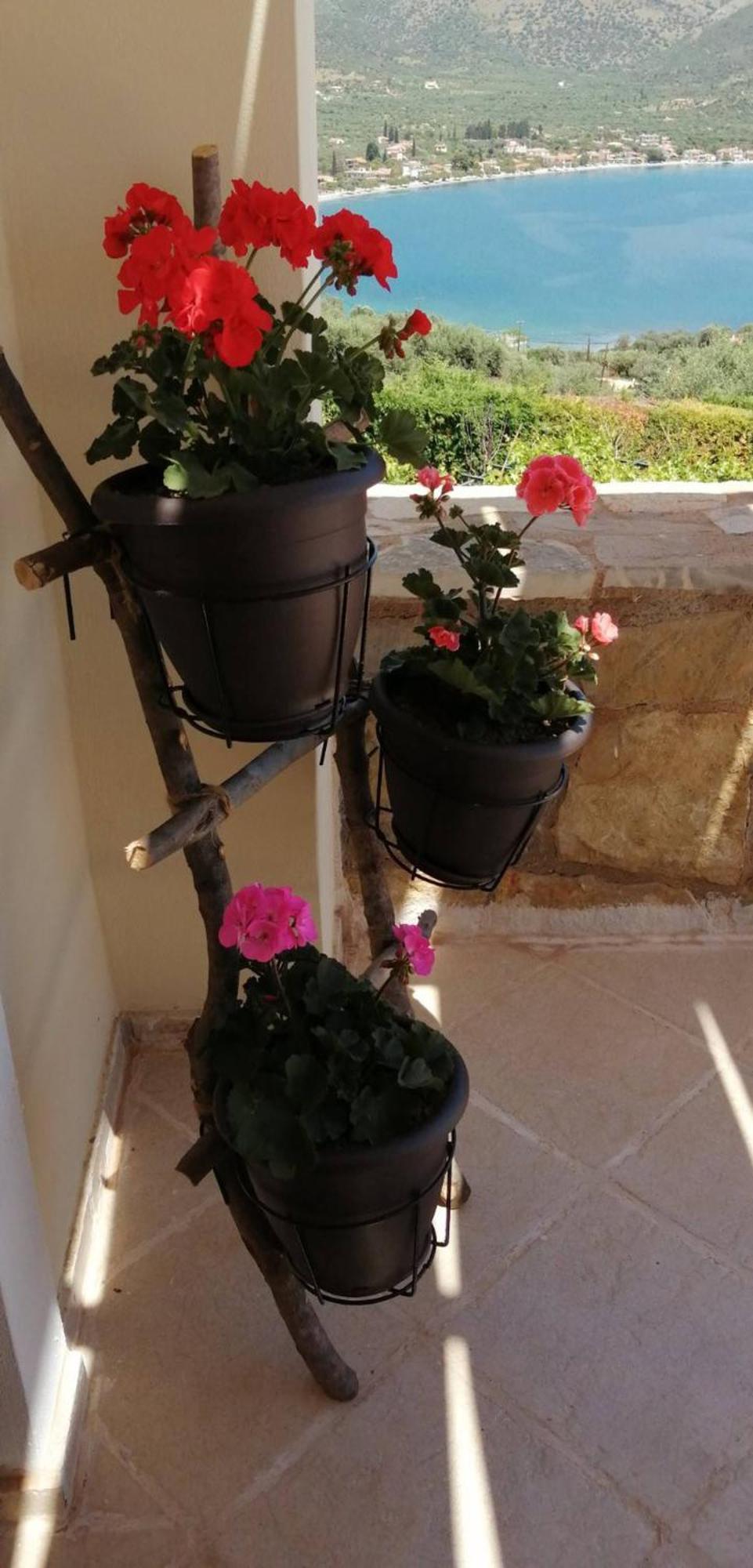 Villa Cozy Apollon Villa, Sea View, Next To Galaxidi