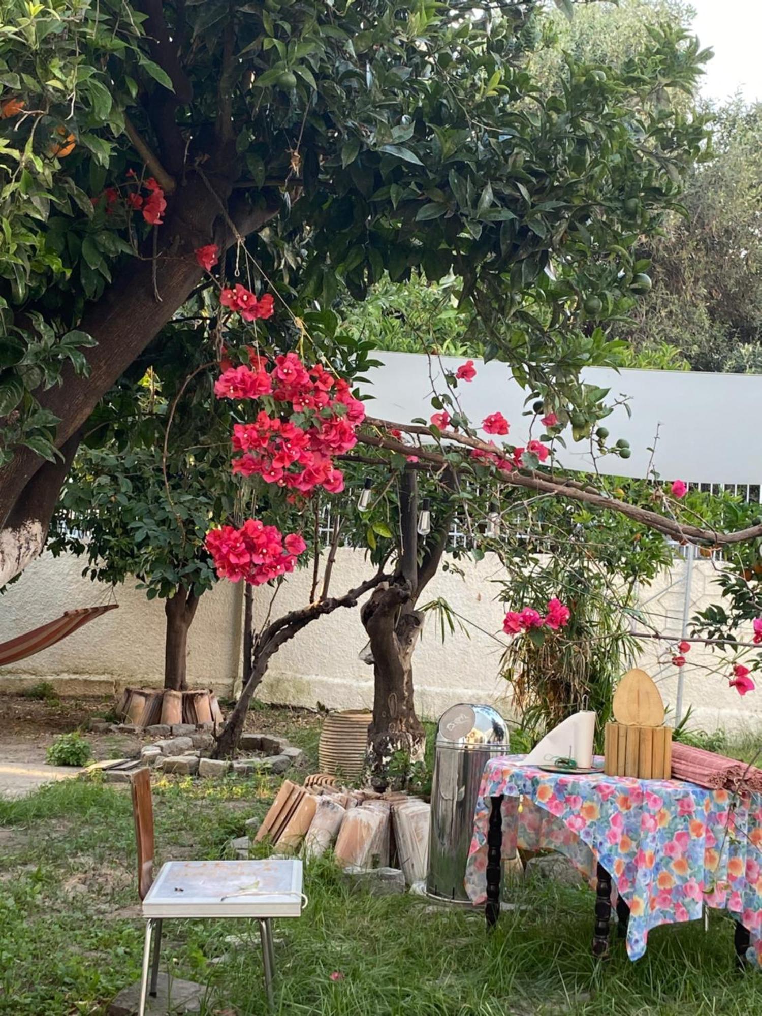 Located Melina 2 Escape Guest house