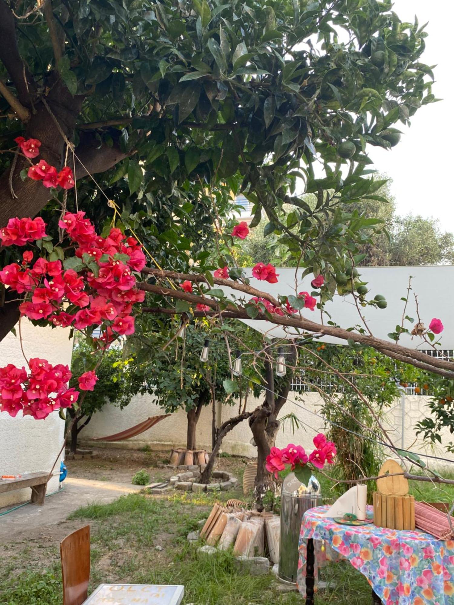 Located Melina 2 Escape Kalamata