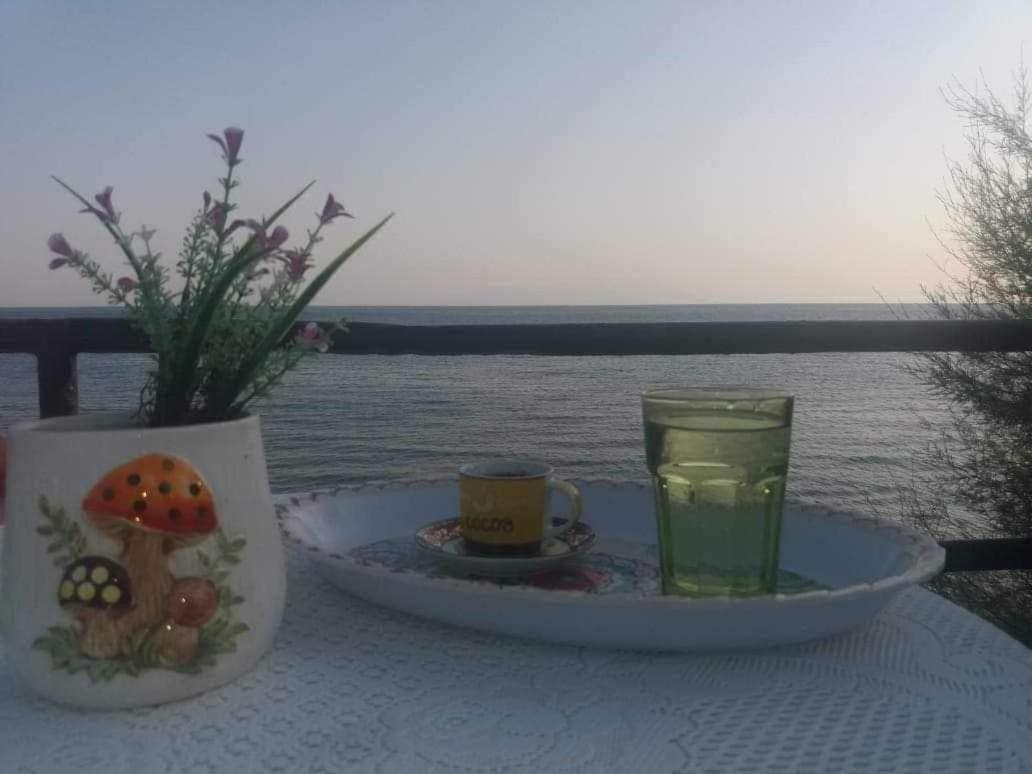 Apostolos Holiday home *