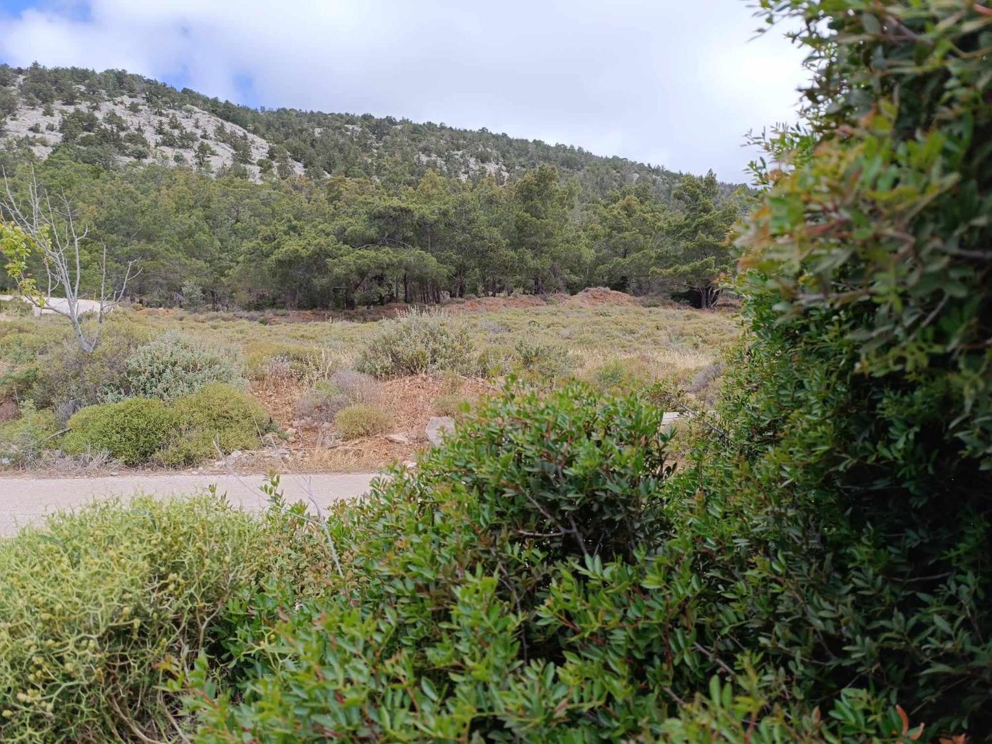 Arsithea * Monolithos (Rhodes)