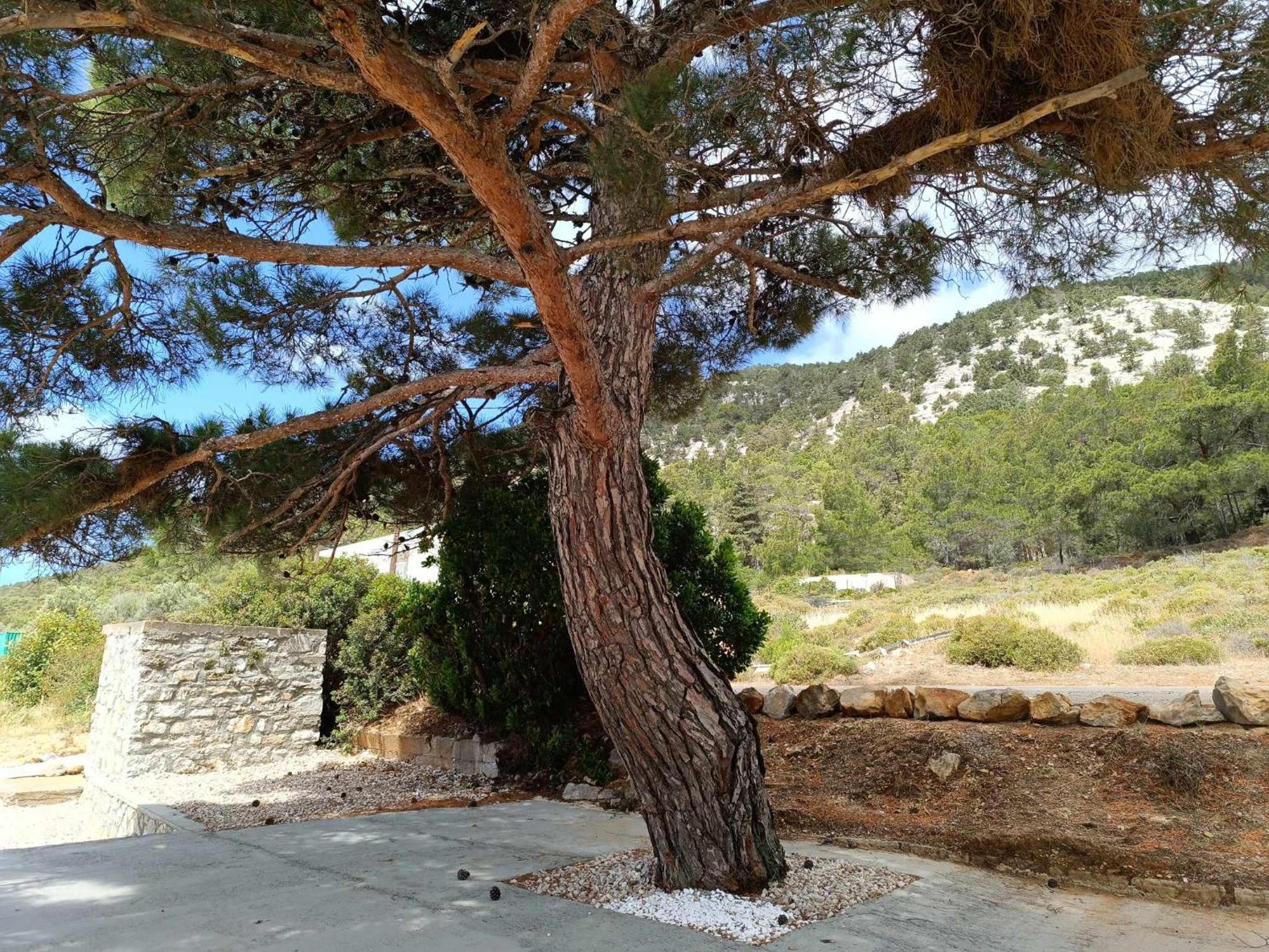 Arsithea Monolithos (Rhodes)