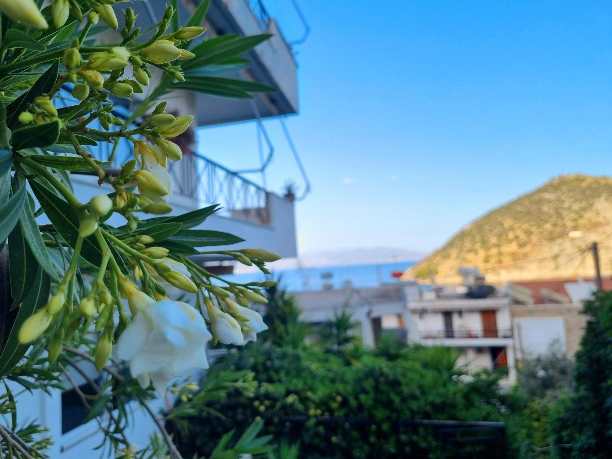 Apartment At Sea - Nova Tolo