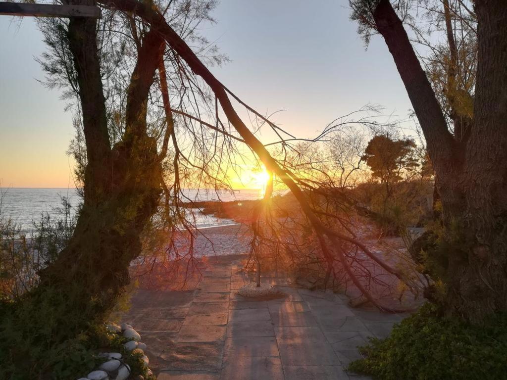 Holiday home House Koula Agios Nikolaos (Mani)