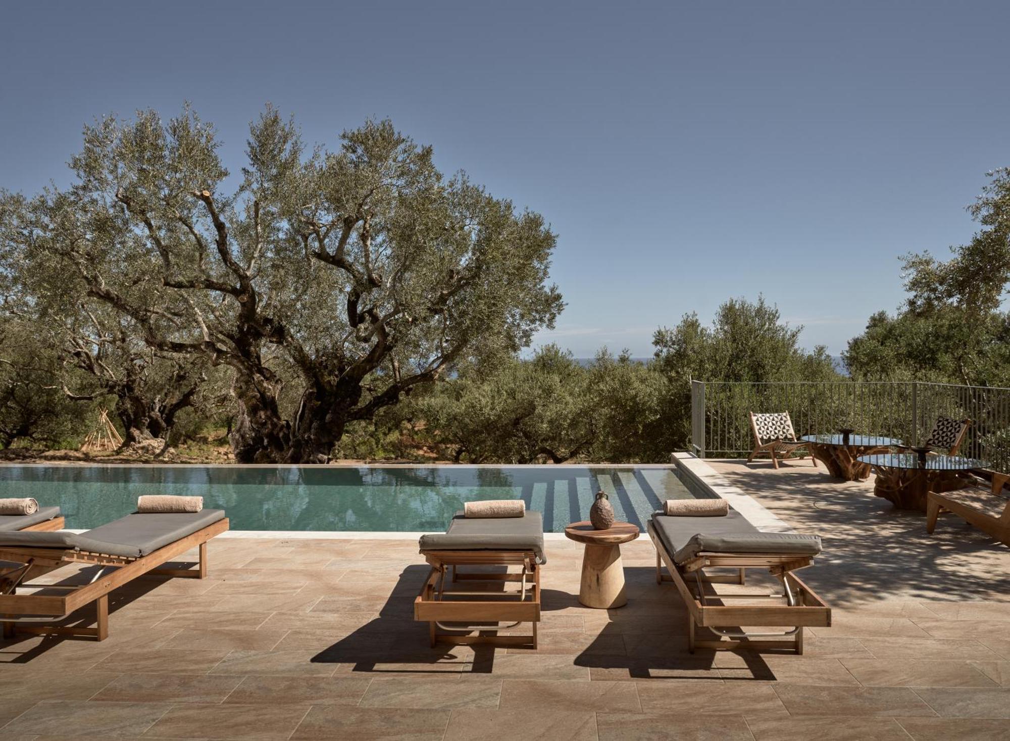 Dila Grand Villa, A 5acres Secluded Sanctuary With Pool, By Thinkvilla Tsilivi (Zakynthos)