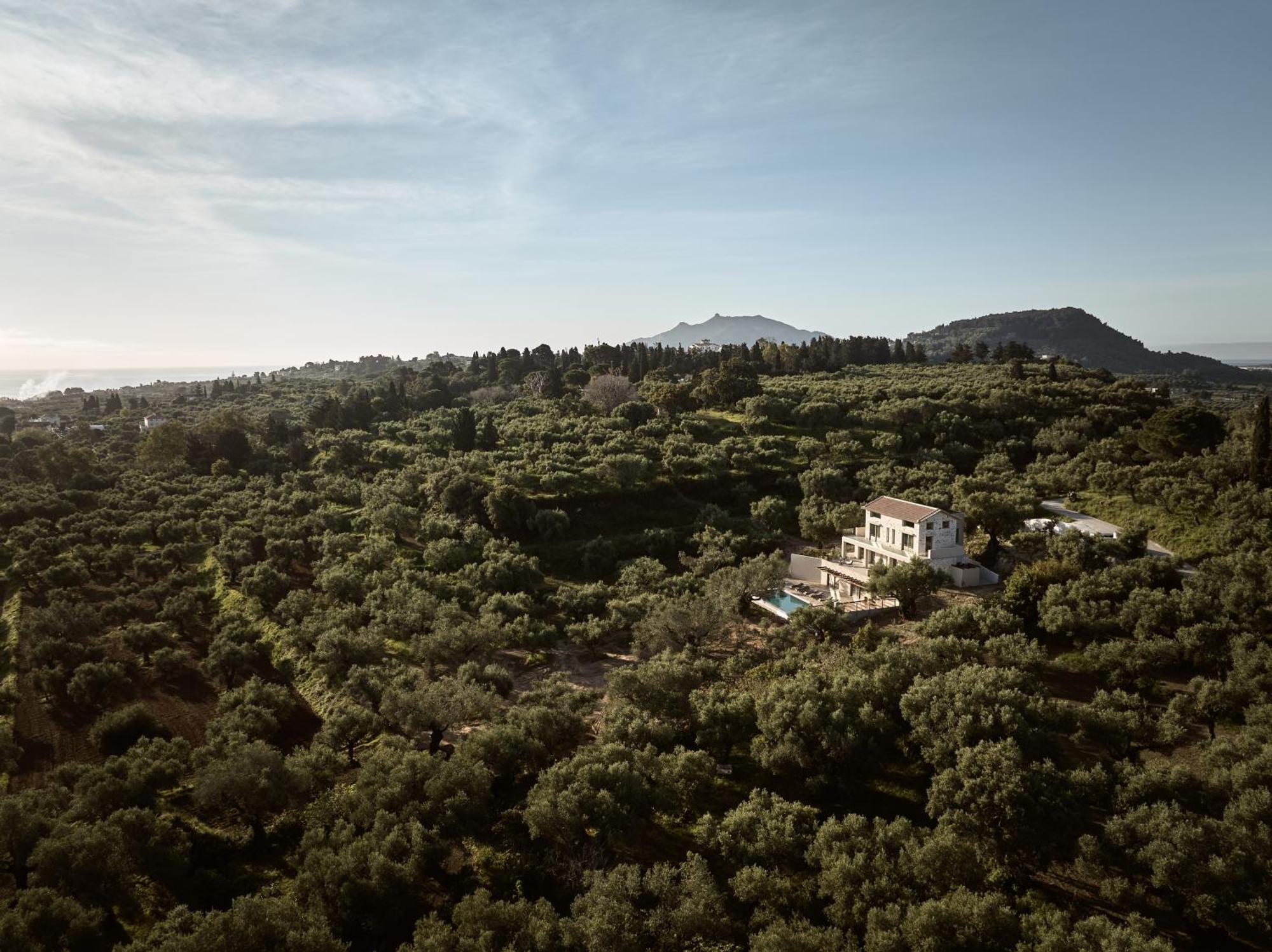 Dila Grand Villa, A 5acres Secluded Sanctuary With Pool, By Thinkvilla Villa Tsilivi (Zakynthos)