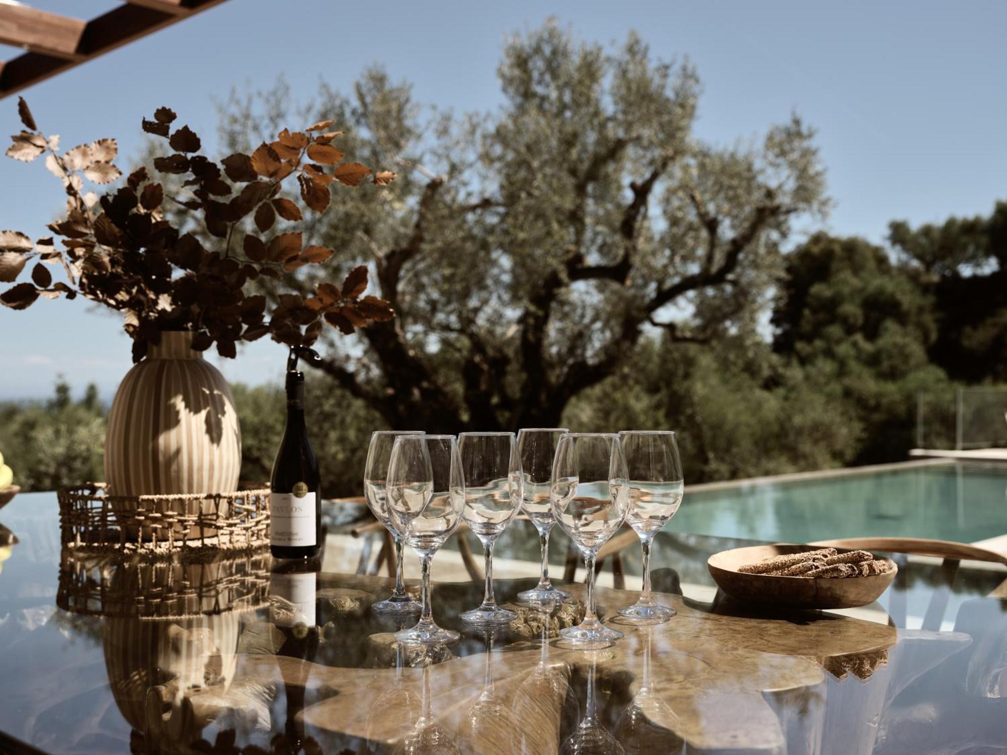 Dila Grand Villa, A 5acres Secluded Sanctuary With Pool, By Thinkvilla Tsilivi (Zakynthos)