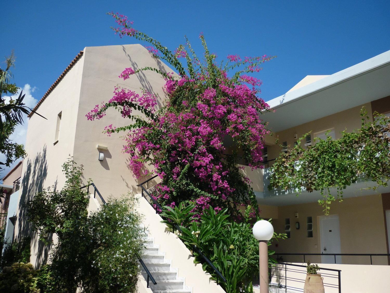 Hotel Selini & Waterpark Kolymbari