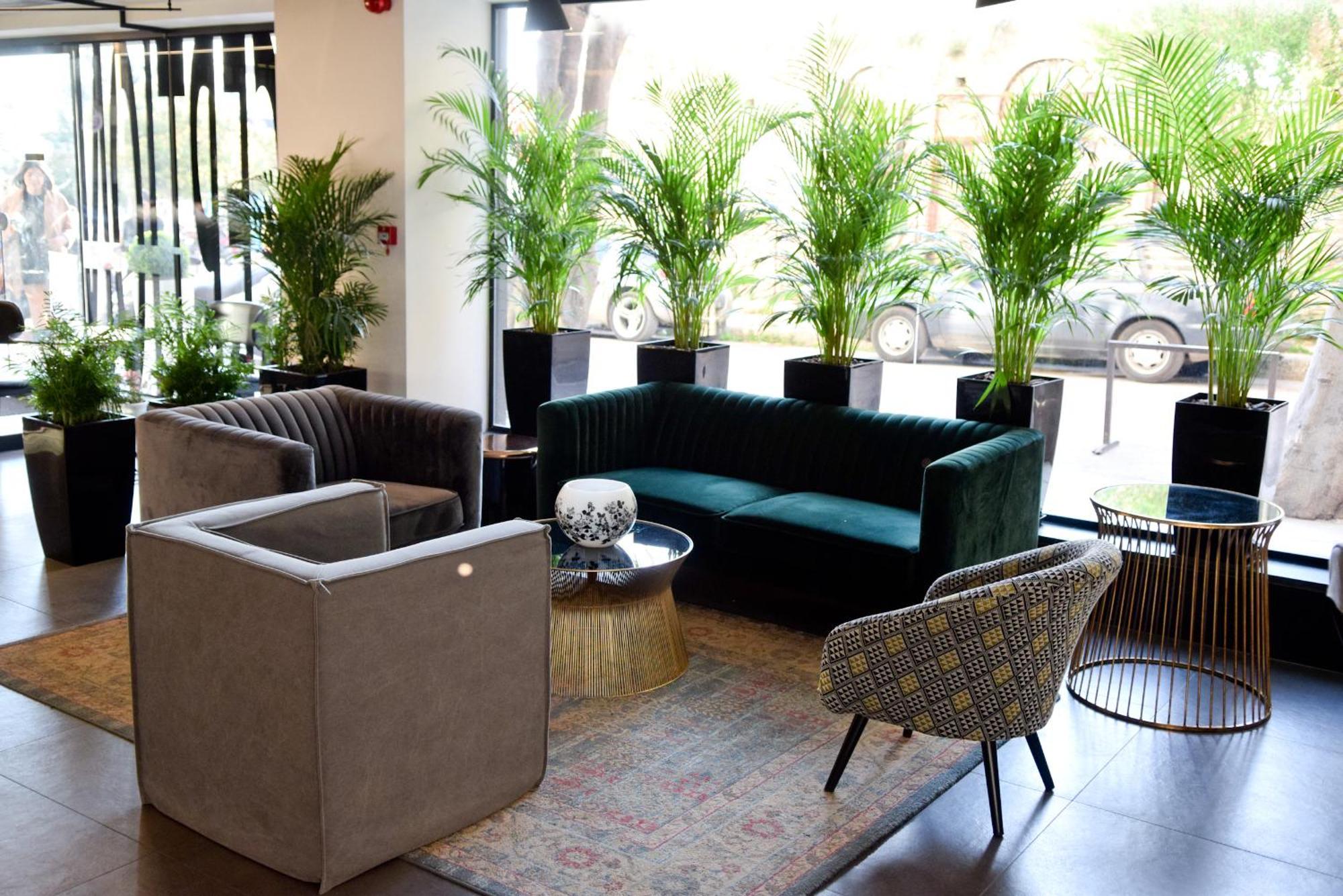 Adonis Hotel Patras
