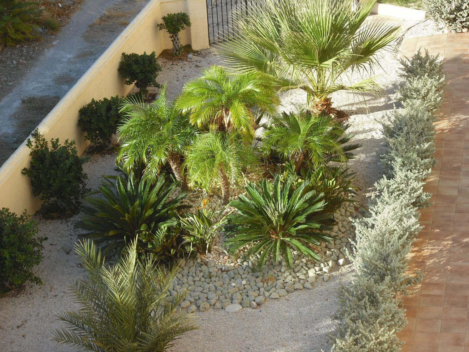 Summer Memories Aparthotel 3*