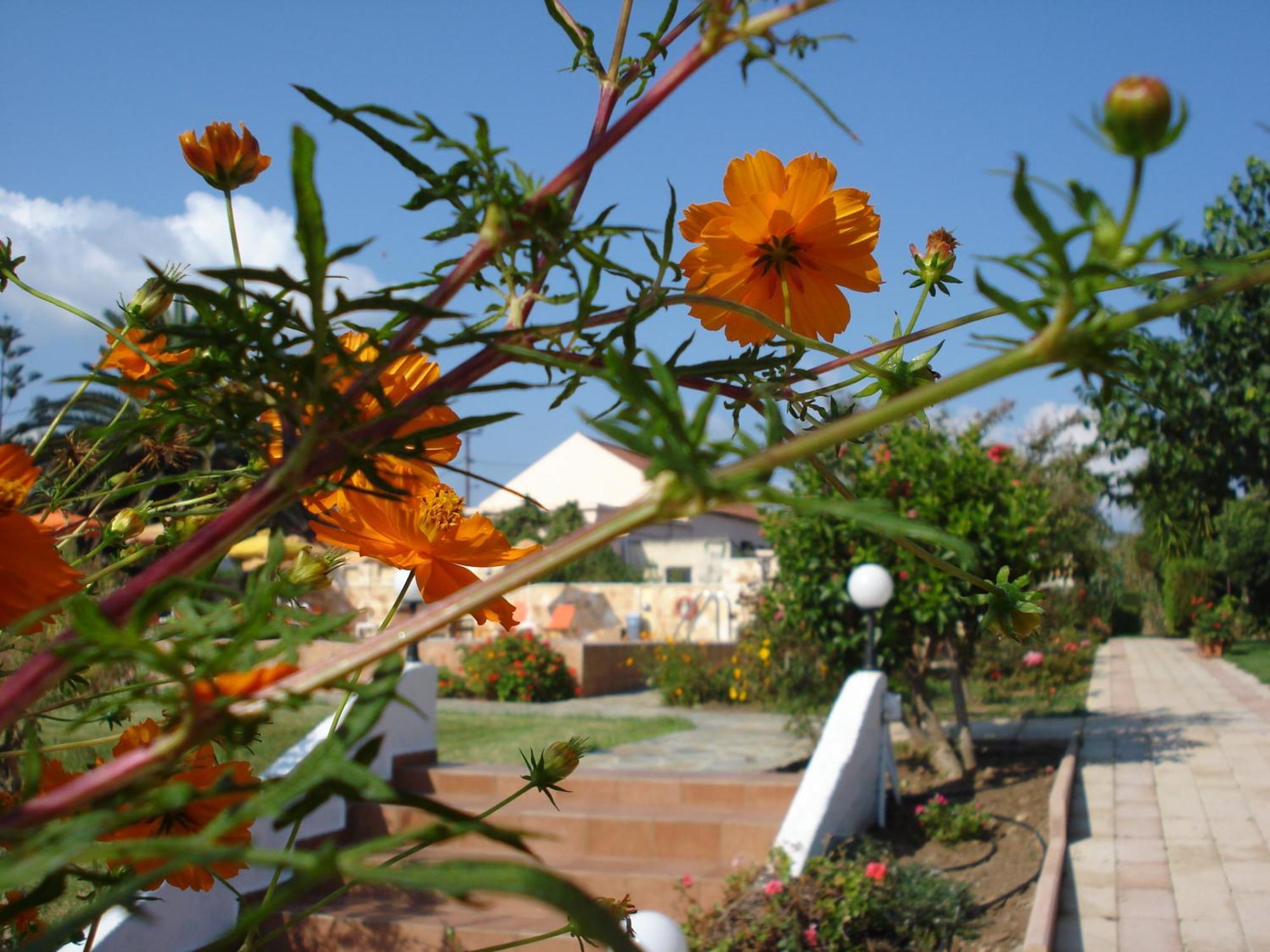 Androulakis * Gerani (Chania)