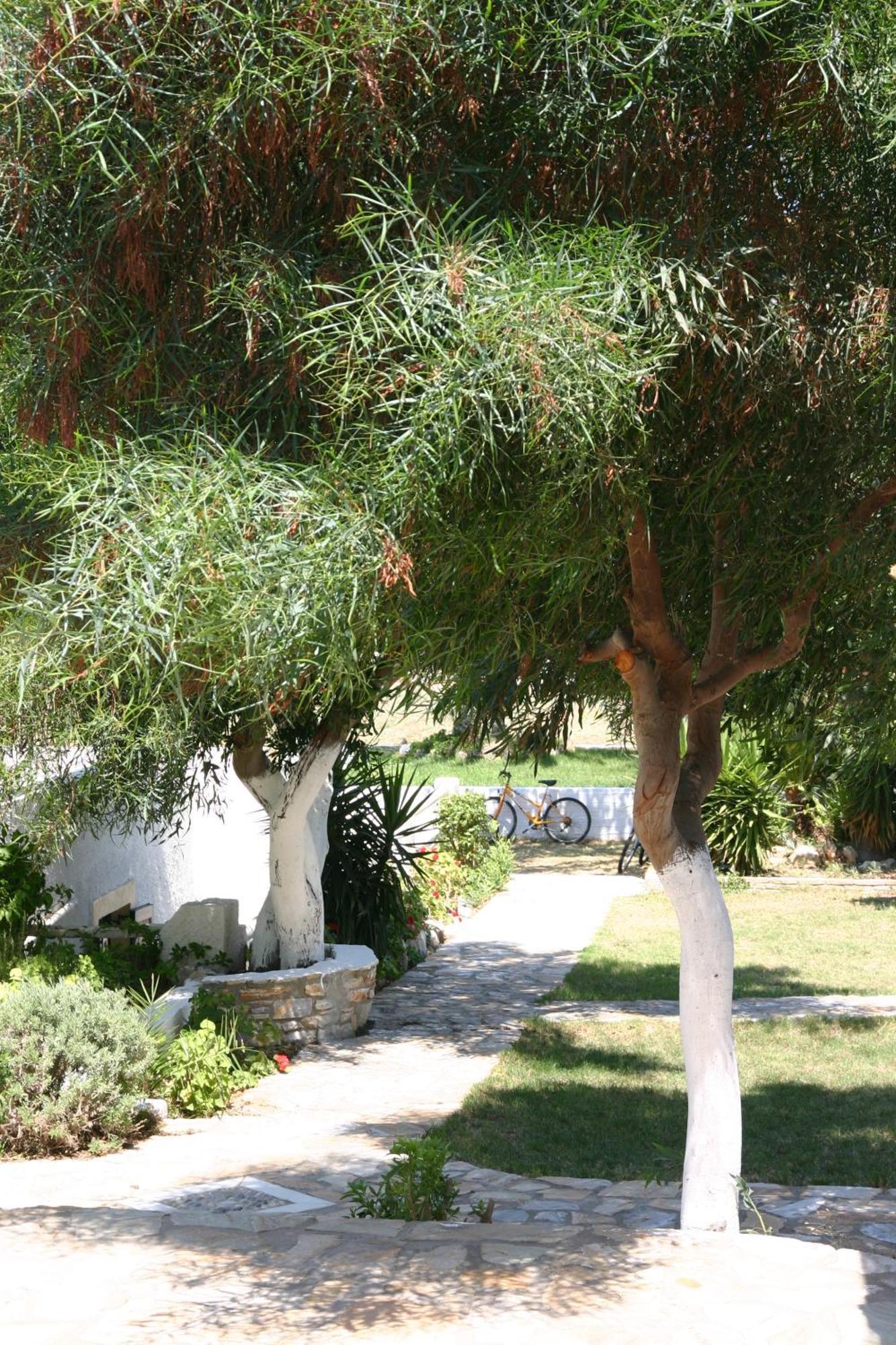 Scala Aparthotel 2*