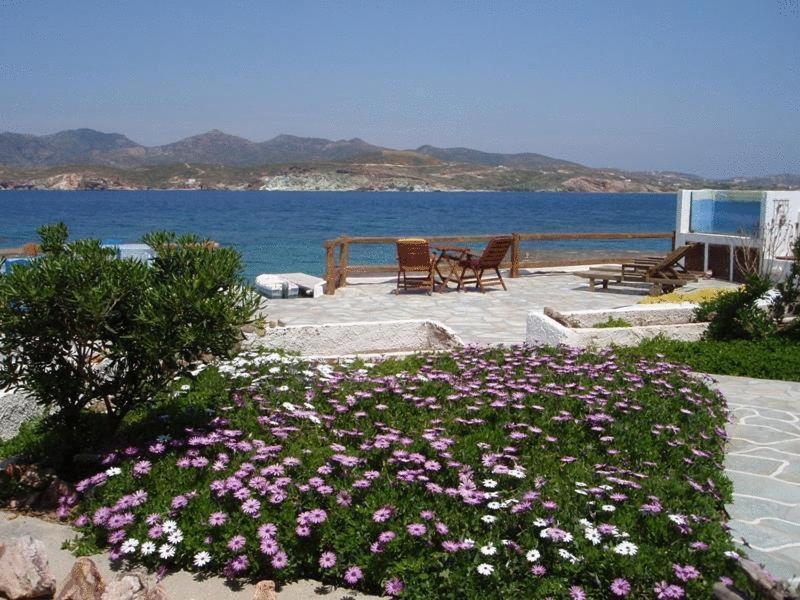 Apollon Guest house Pollonia