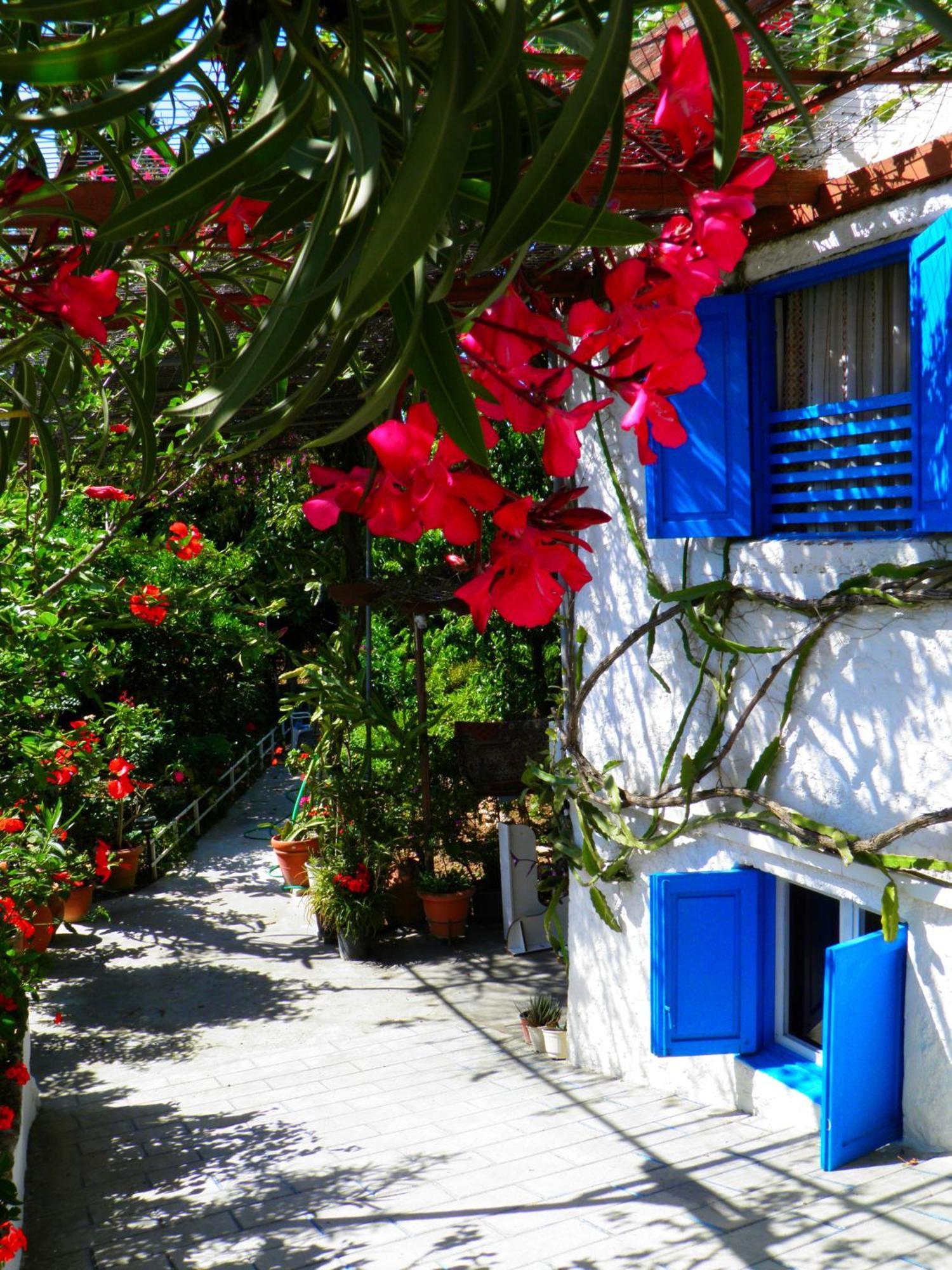 Guest house Alpha Stegna Sun Archangelos (Rhodes)