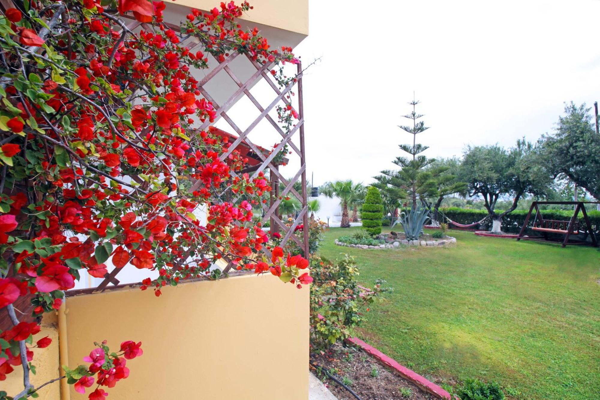 Apartment Kos Island Kefalos (Kos)