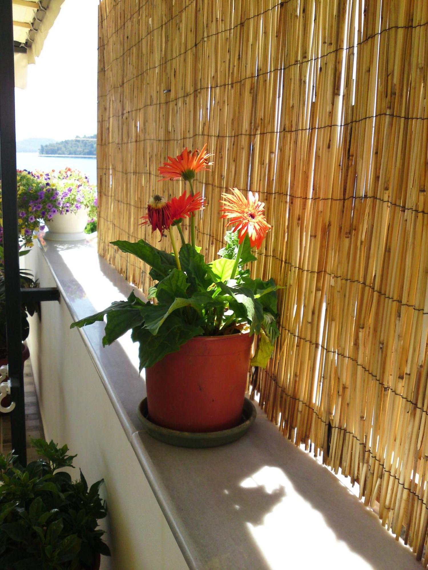 Sundy's Nydri (Lefkada)