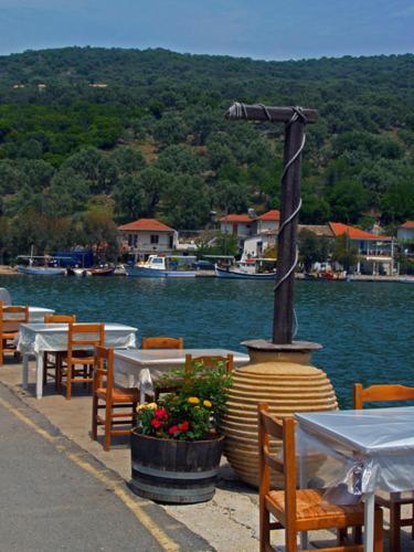 Asterida * Sivota (Lefkada)