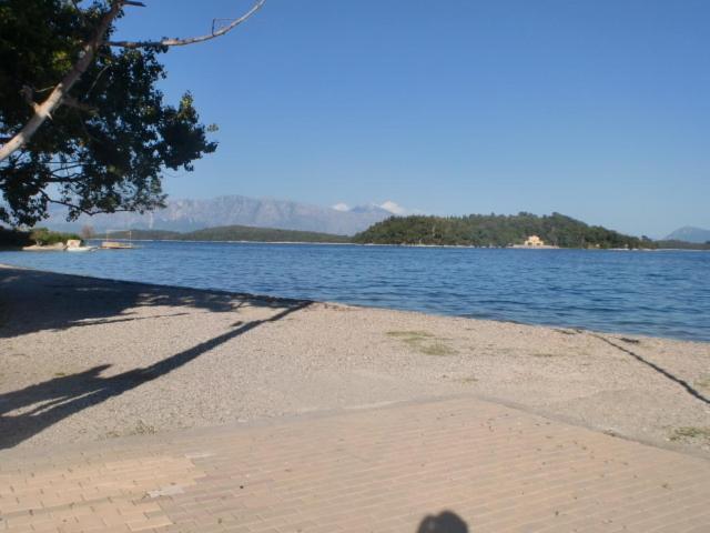 Zone Guest house *