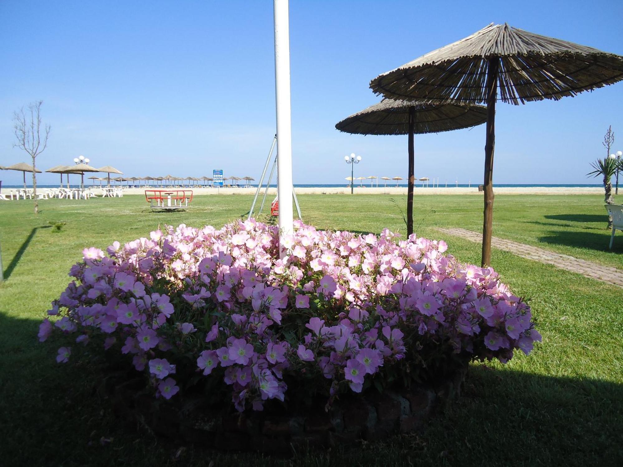 Hotel Lidra
