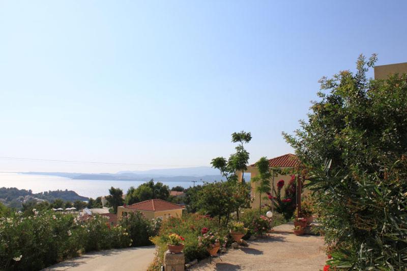 Maria's Garden