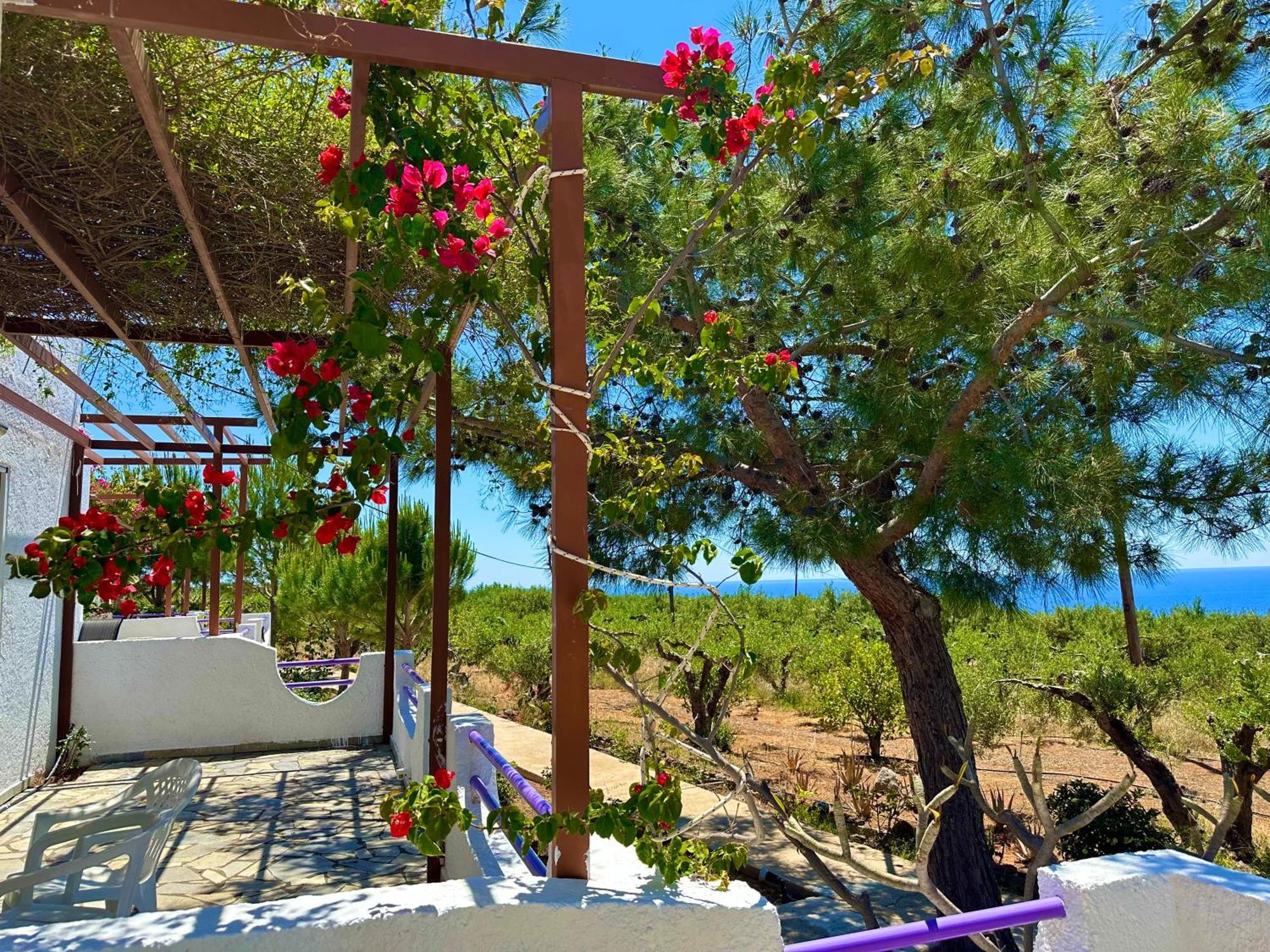 Apartment Crete *