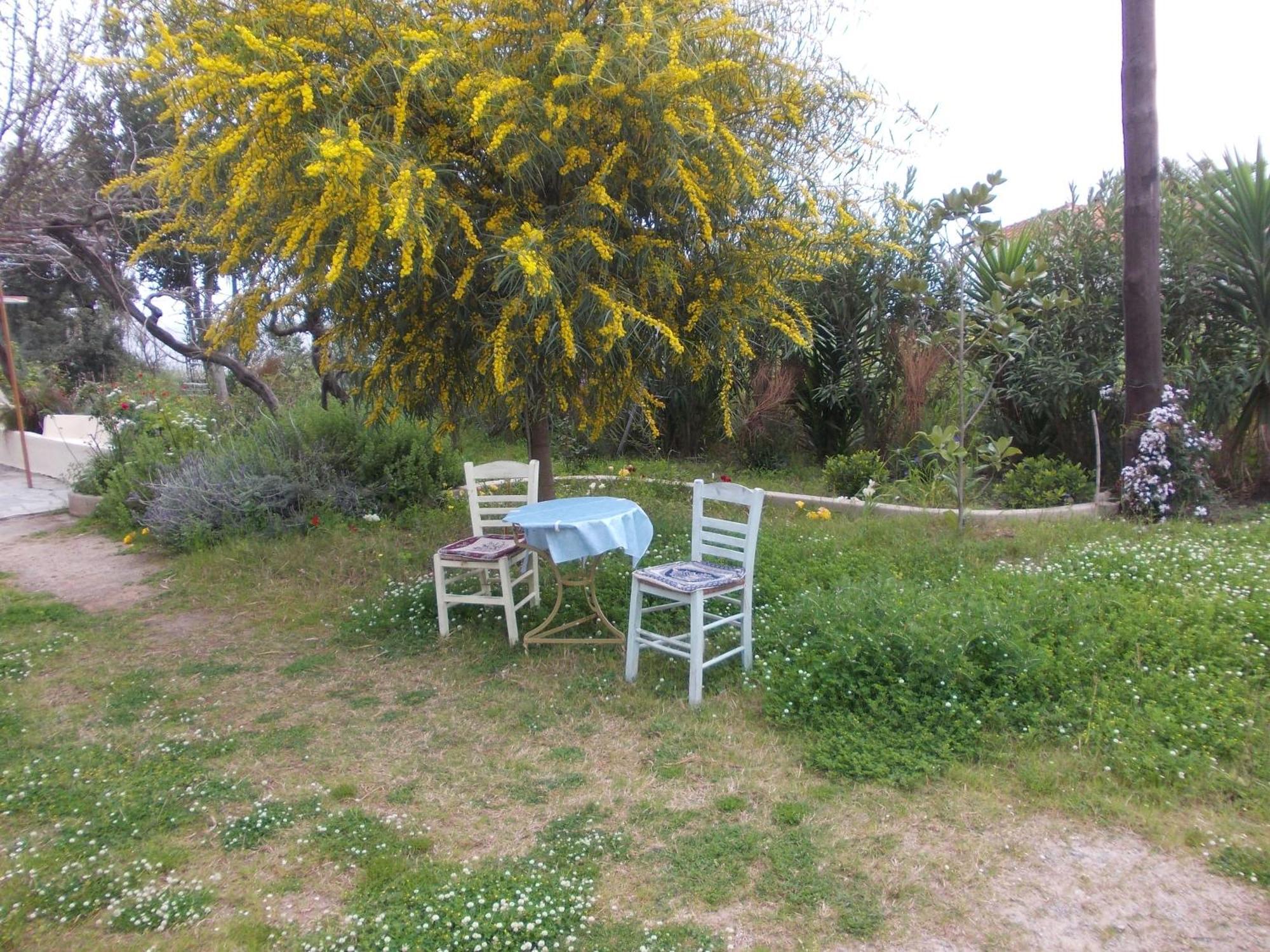 Aparthotel Kassimiotis *