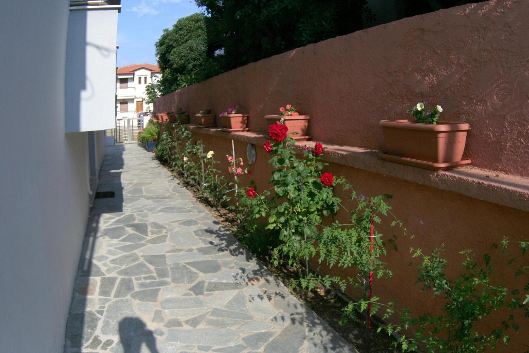 Mare D'oro Apartment