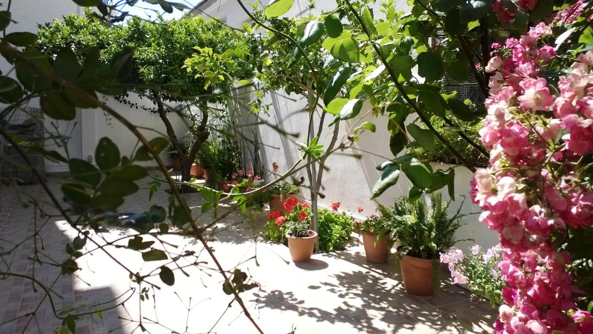 Apartment Evia
