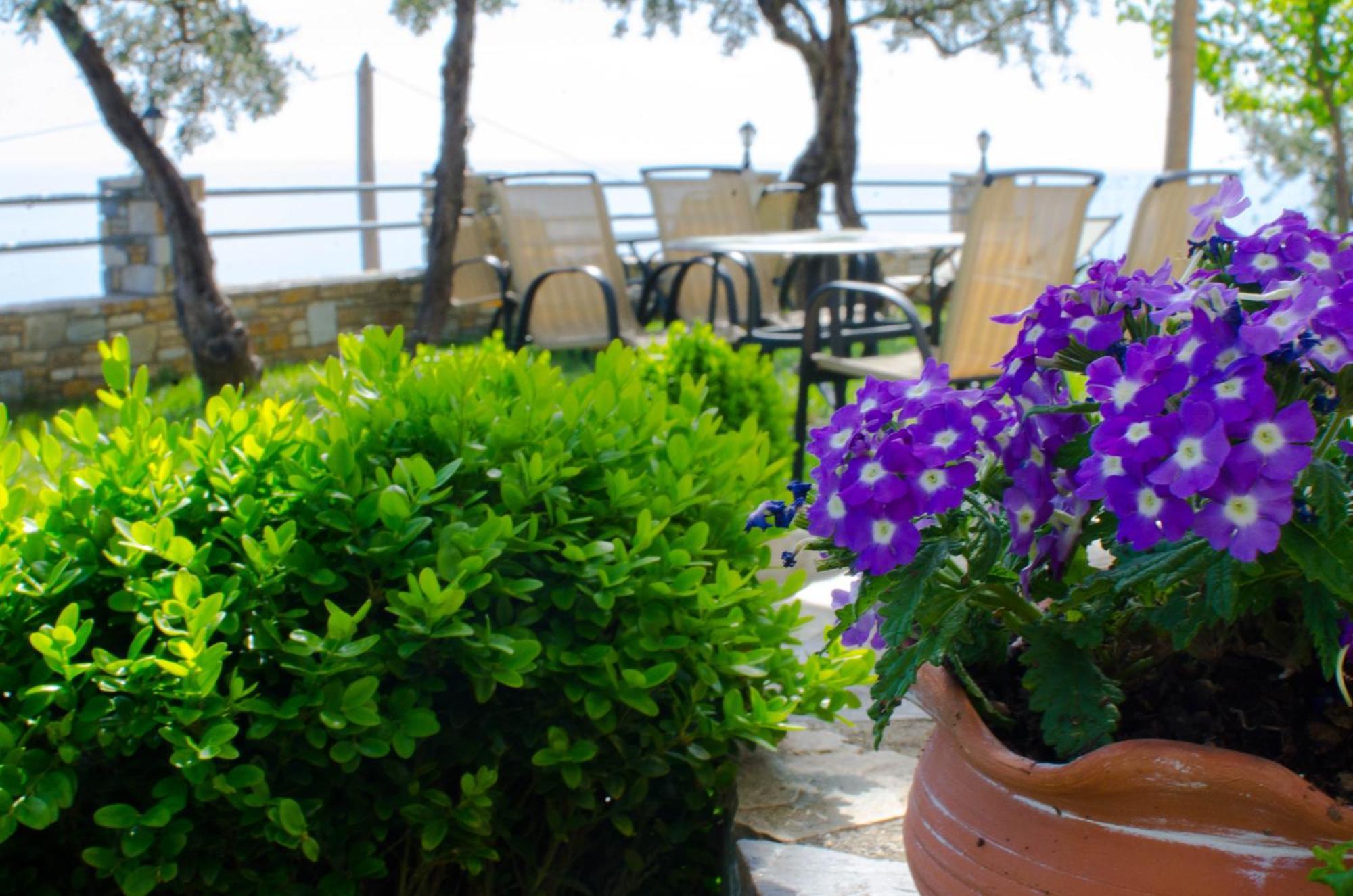 Guesthouse Enastron Apartment Chorefton