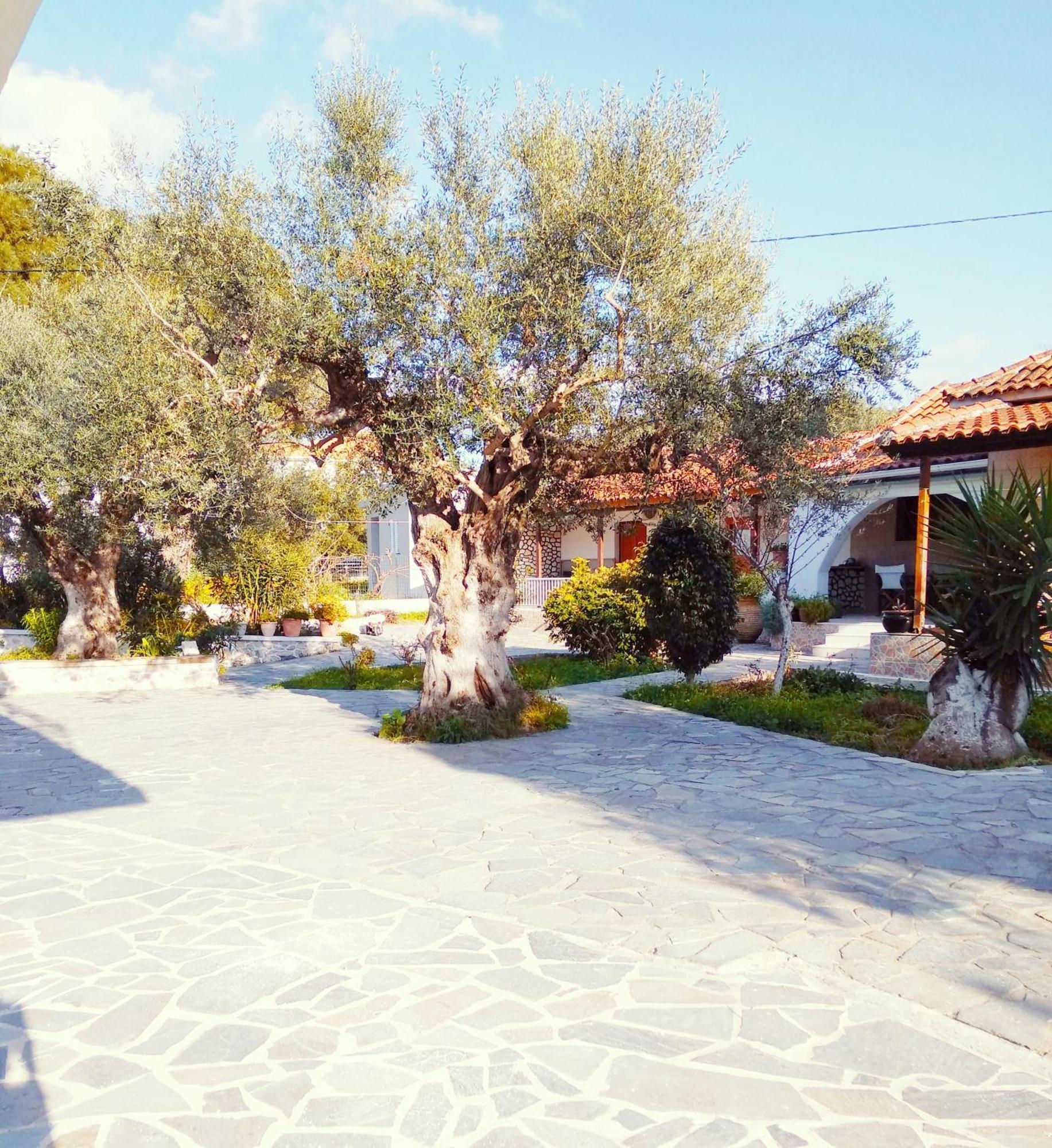 Apartment Irini Studios Alykes (Zakynthos)