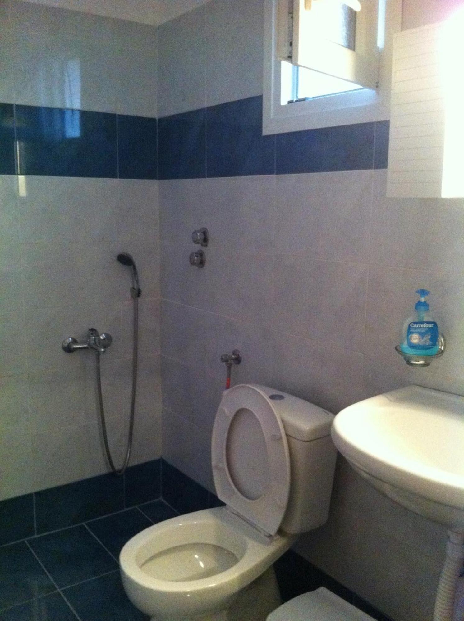 Melissa Apartment Agios Kirykos (Ikaria)
