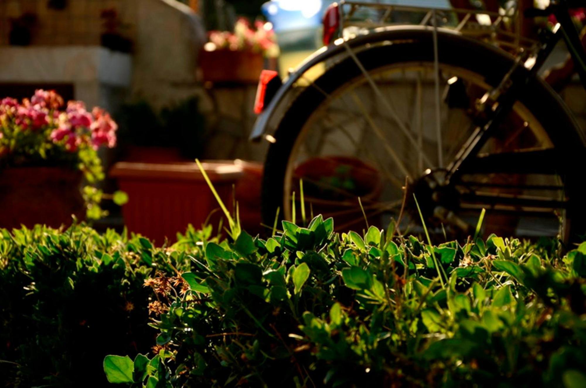 Apartment Garden House