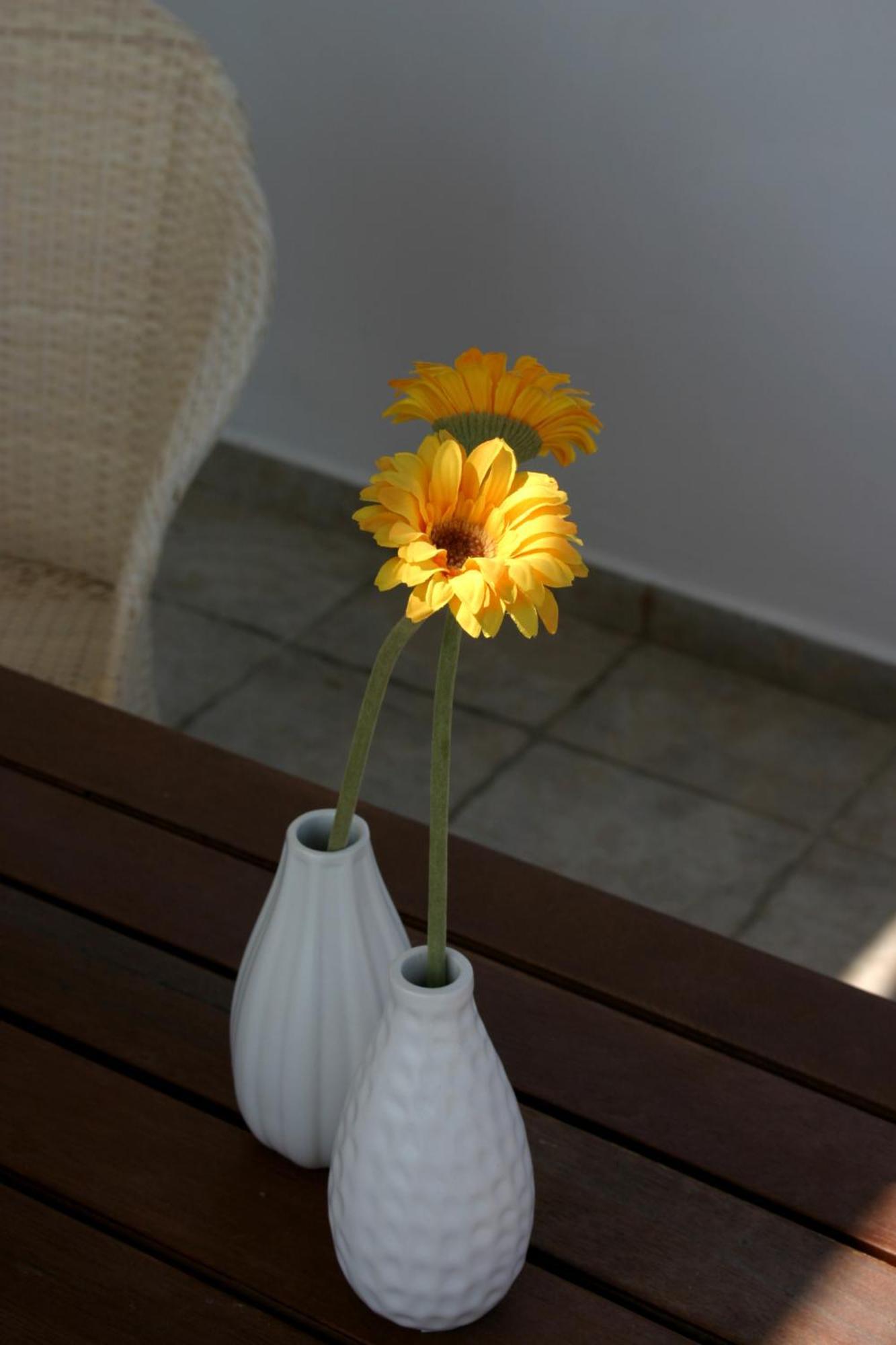 Apartment Niriides Pachaina