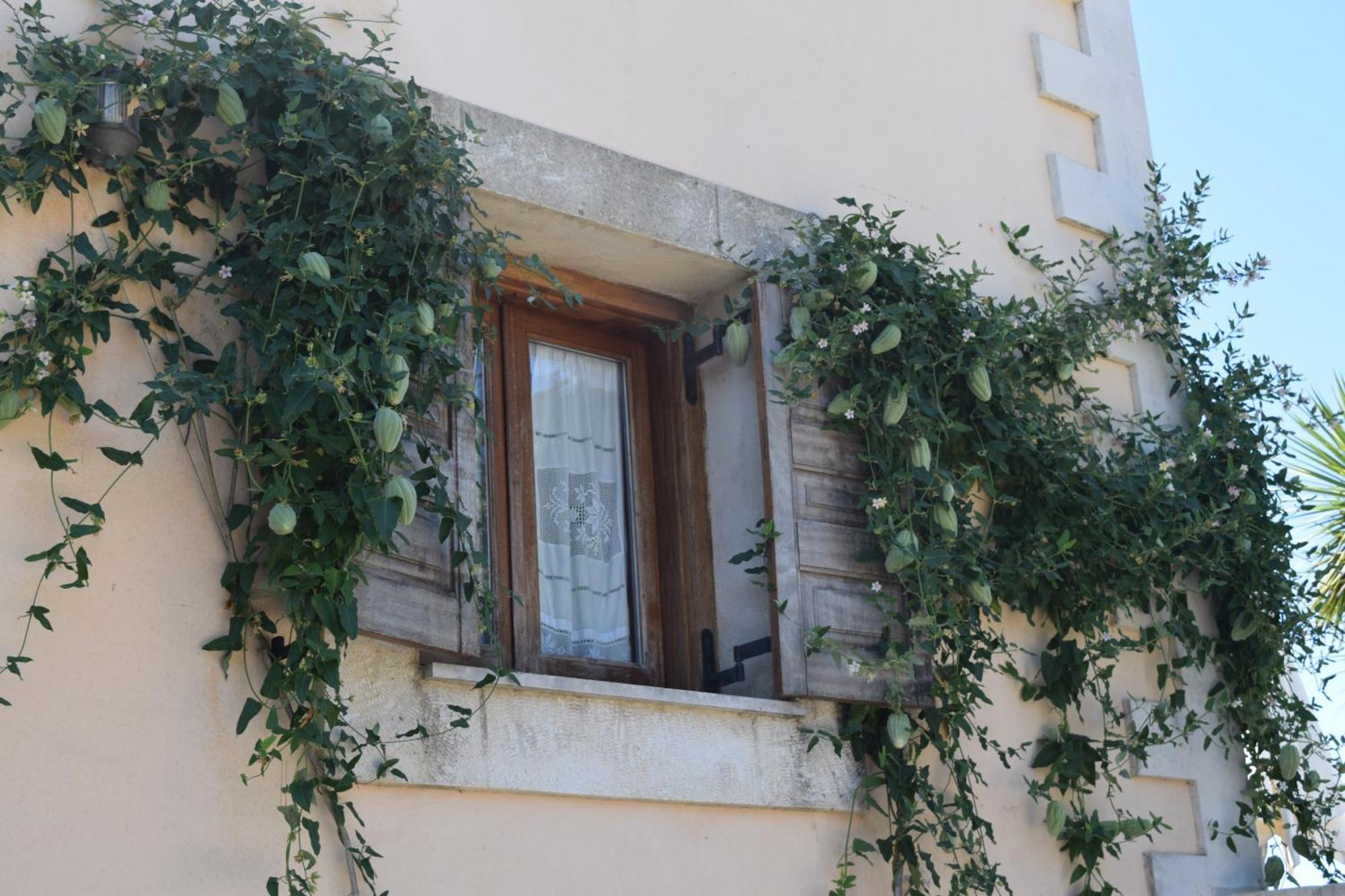 Villa Aloe & Lotus Prines (Rethymno)