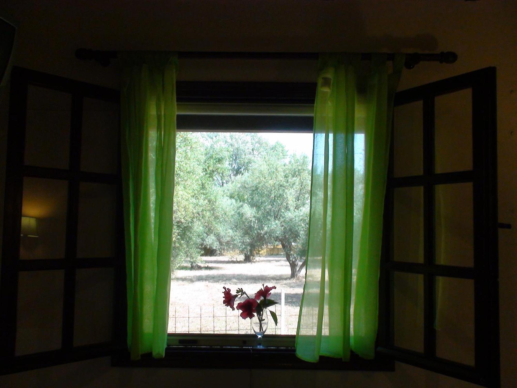 Marianthi Studios Apartment Lassi (Kefalonia)
