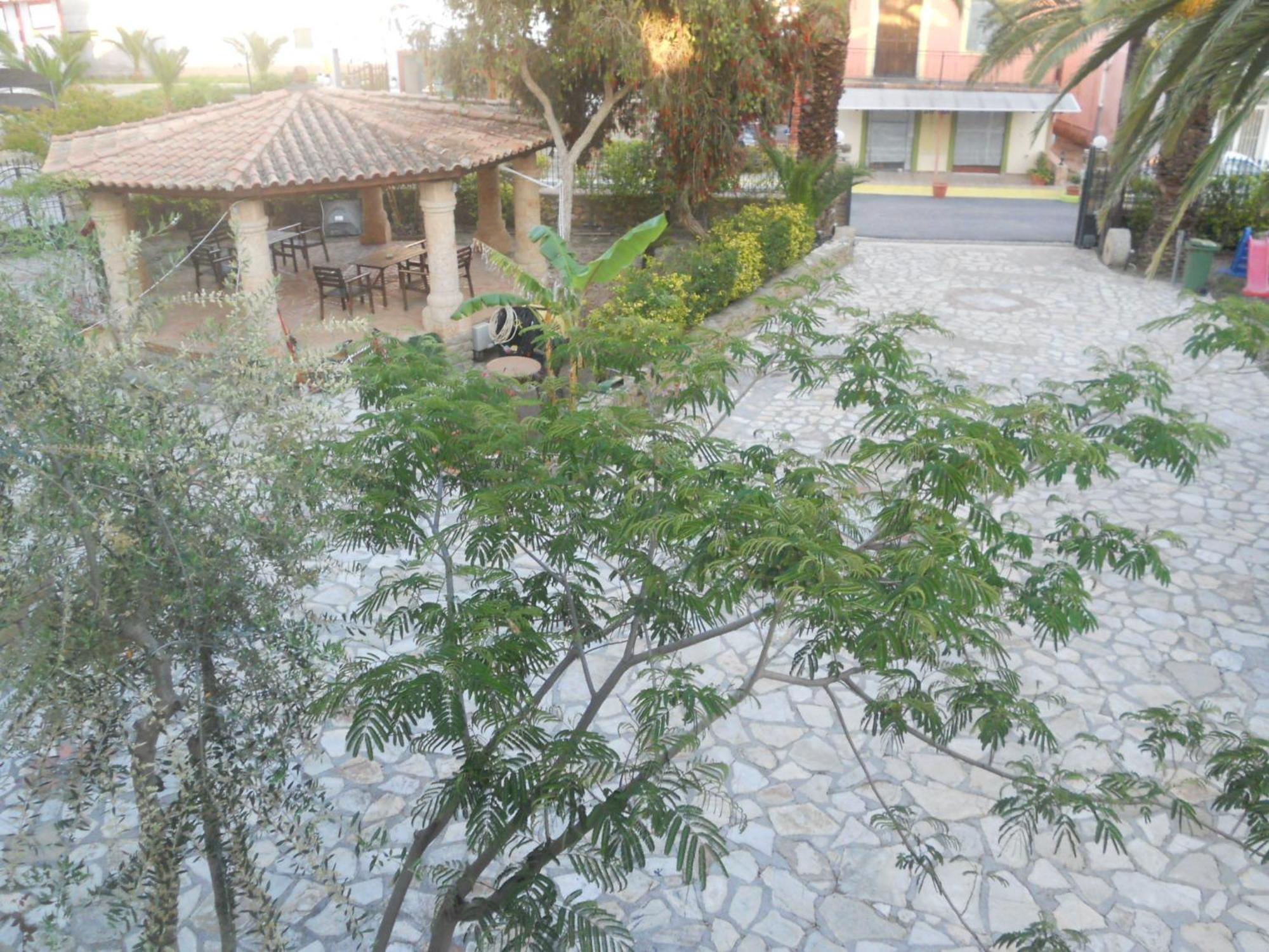 Assimakis Finikounta