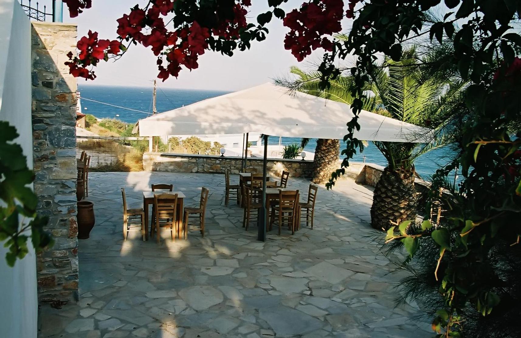 Oasis
