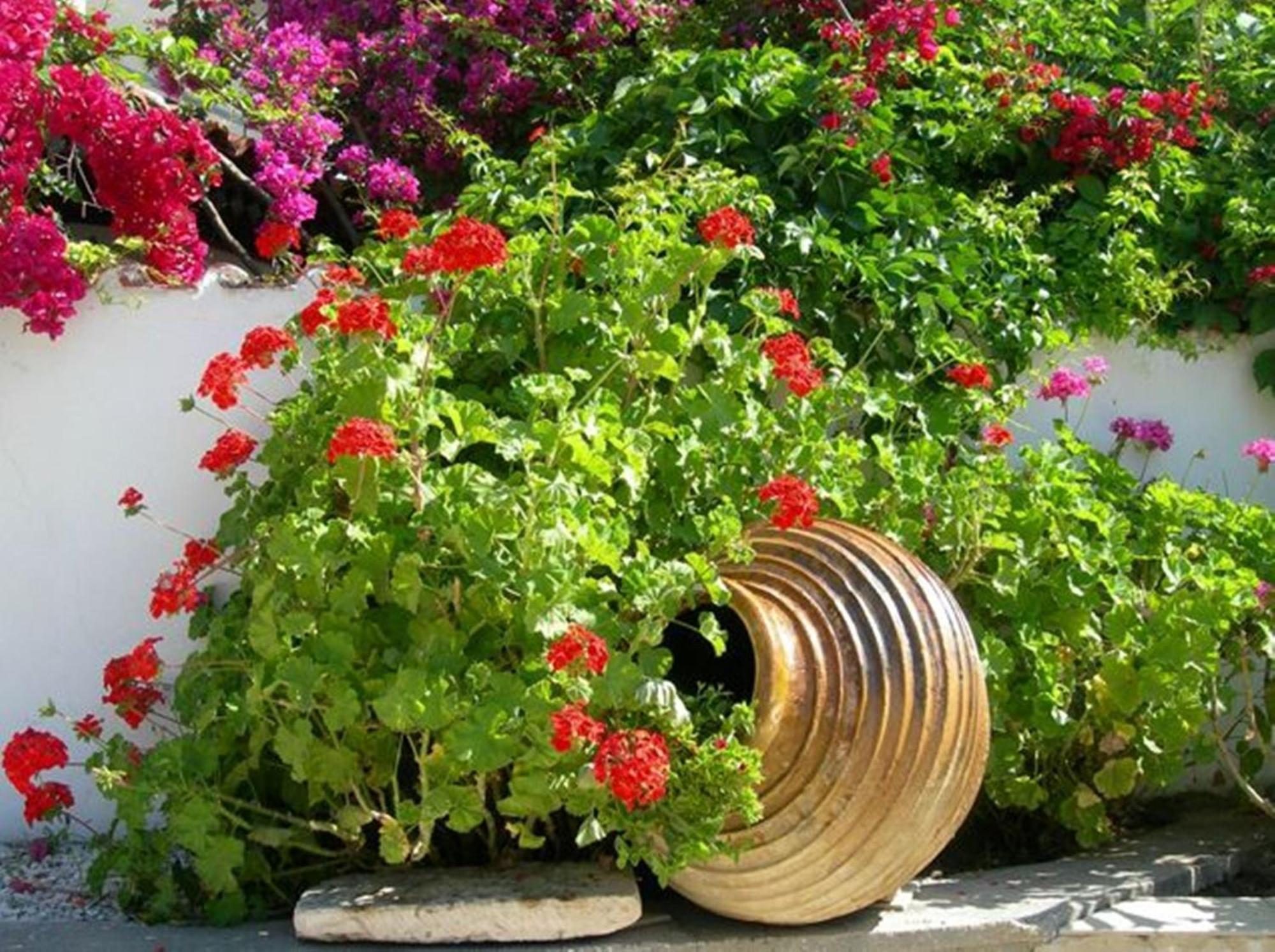 Irini Studios Alykes (Zakynthos)