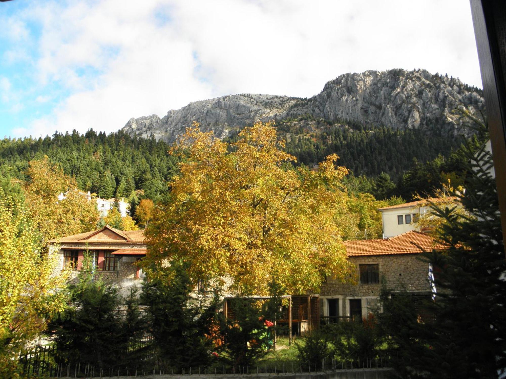 Mpakou Hotel Elati (Trikala)