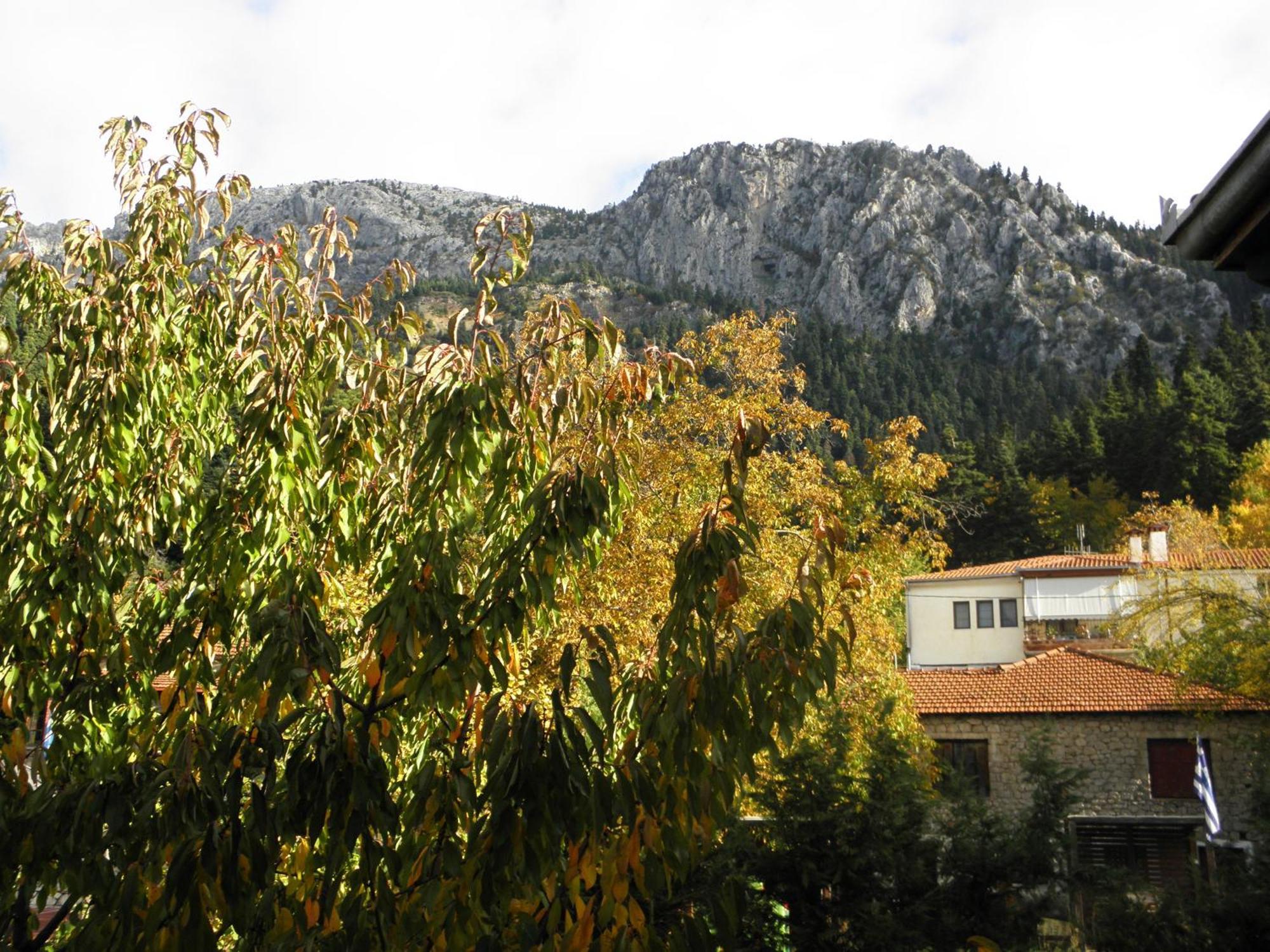 Mpakou Hotel Elati (Trikala)