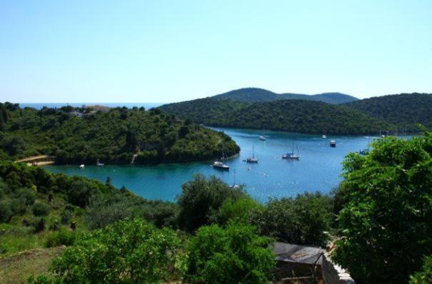 Polyxeni Apartment Sivota (Epirus)