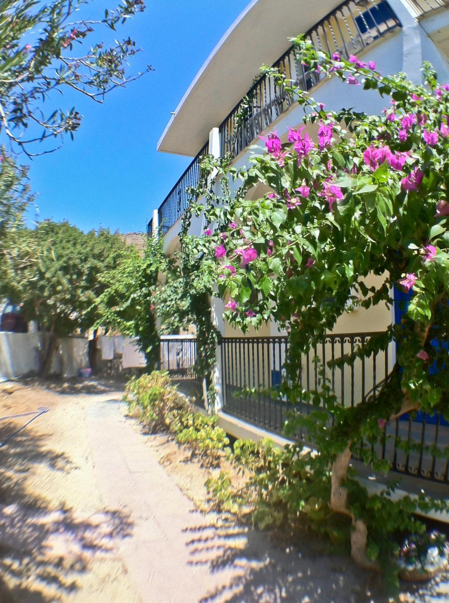 Castellania 2* Livadia (Tilos)
