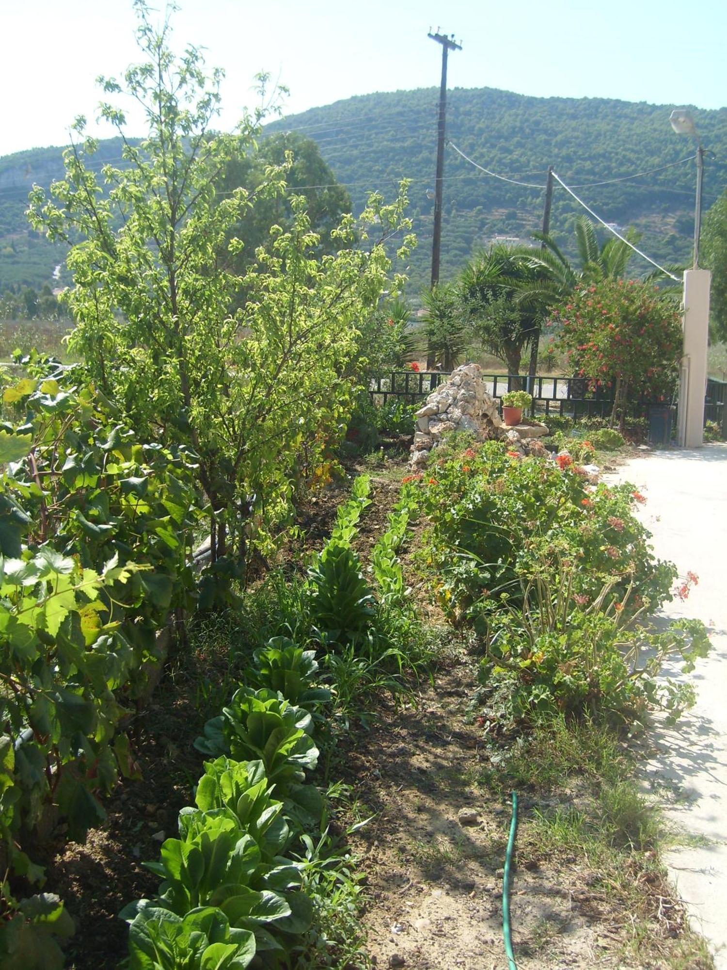 Pansion Porto Tsi Ostrias 3*