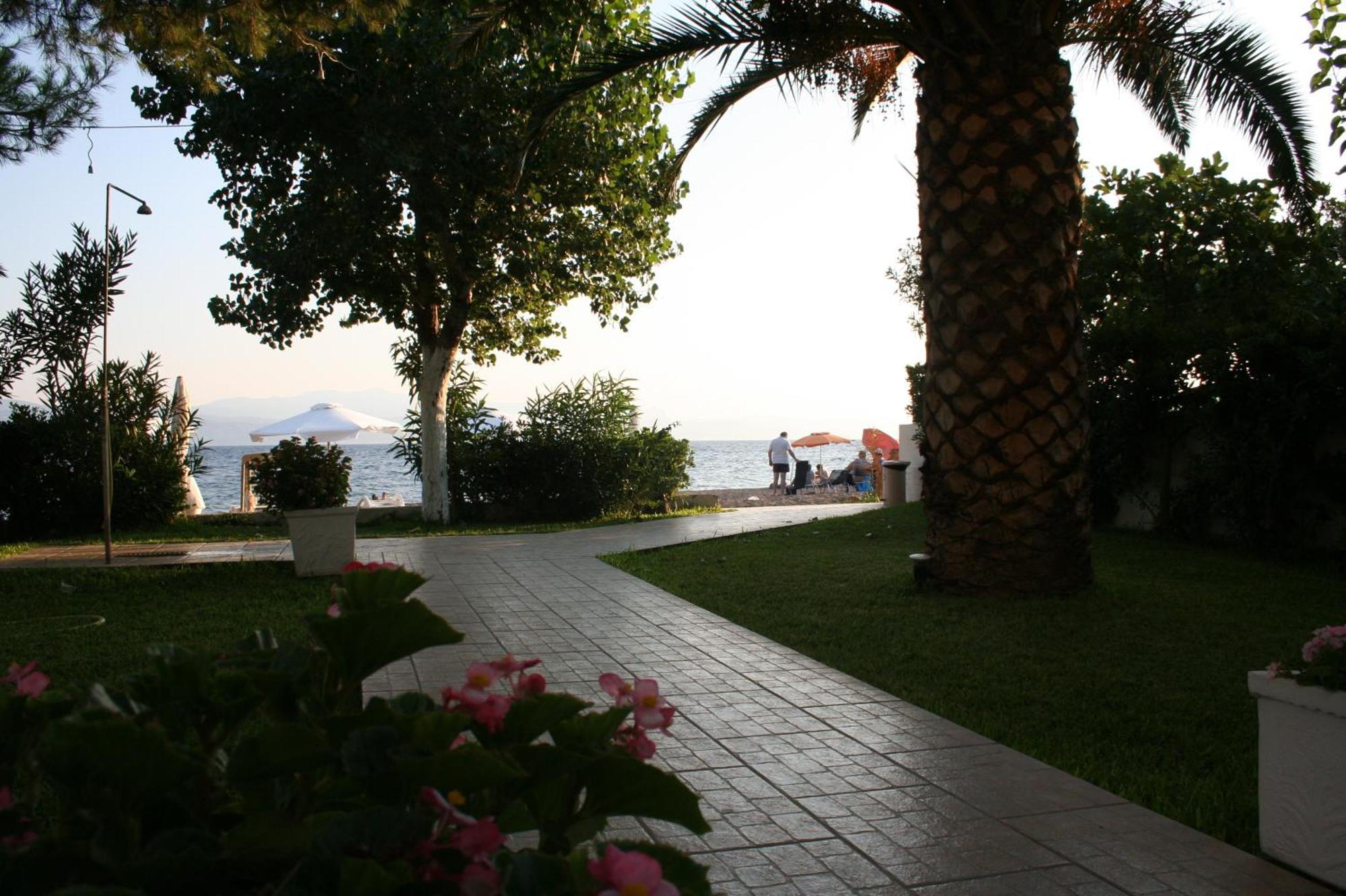 Posidonia Amarynthos